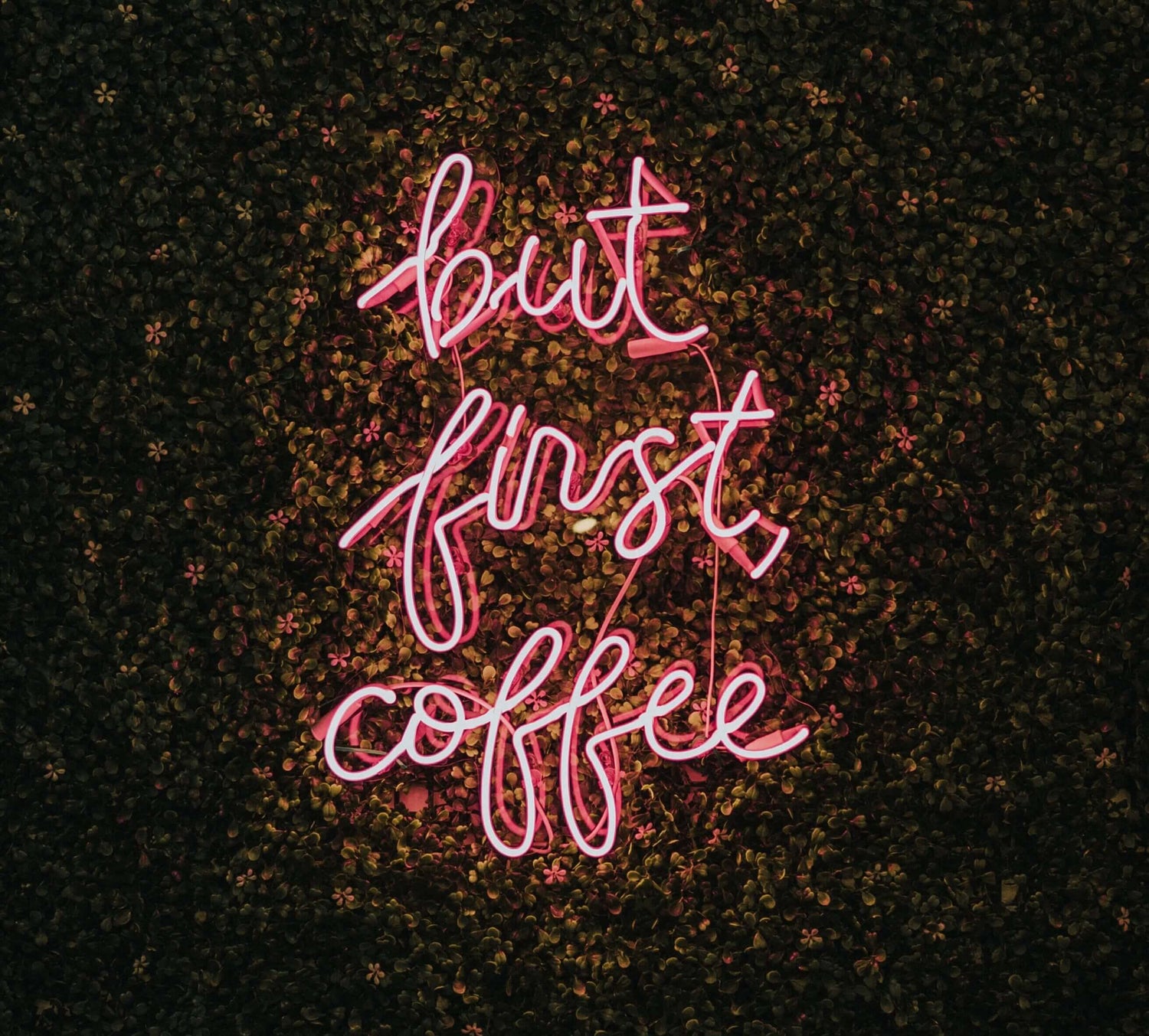 But first coffee sign in neon pink on wall