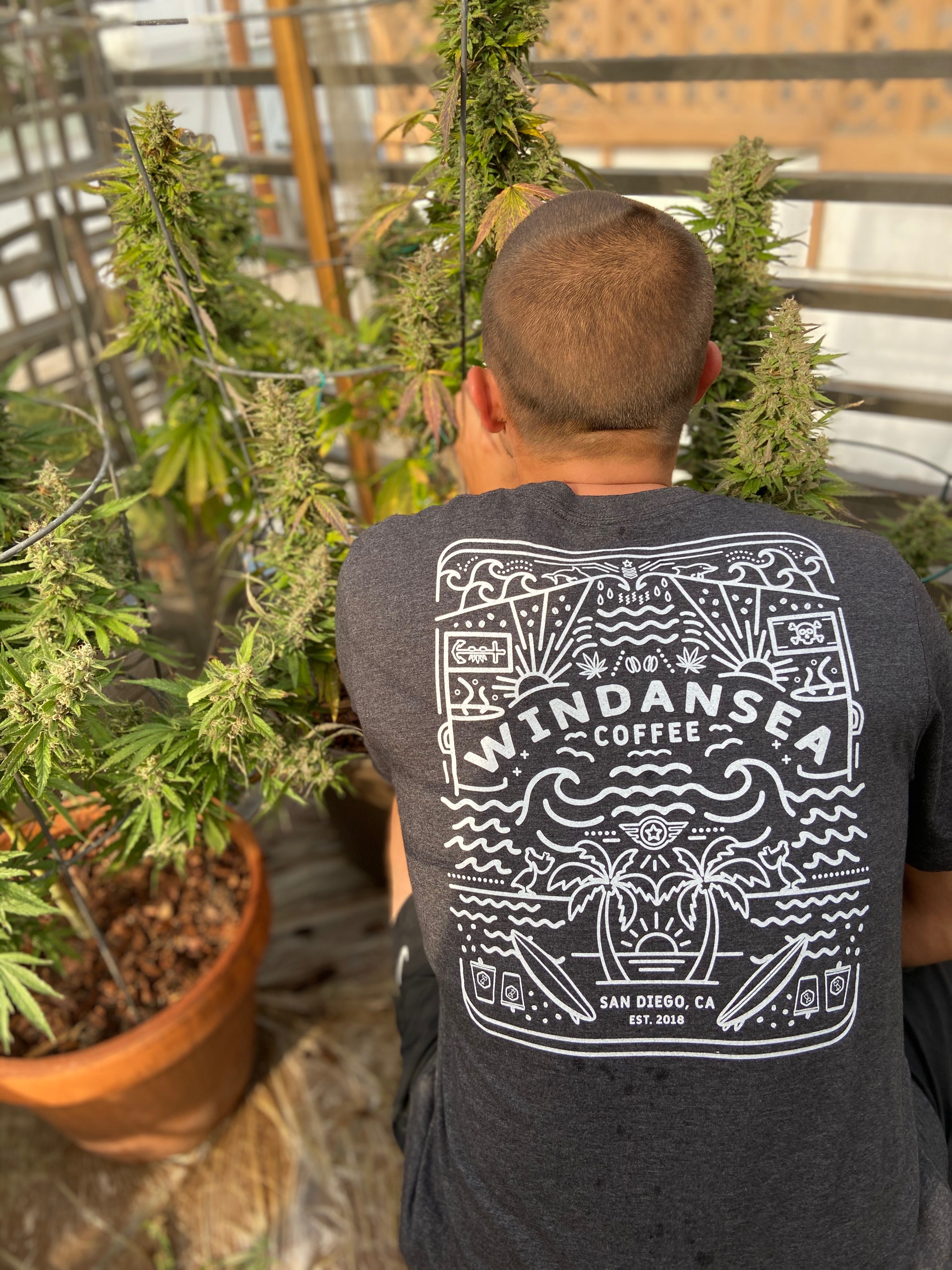 Windansea Mandala T-shirt - WindanSea Coffee