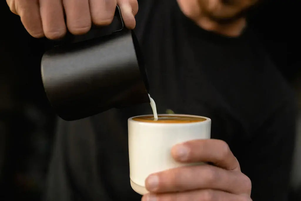 Punta Roca | Coffee - Light Roast - WindanSea Coffee
