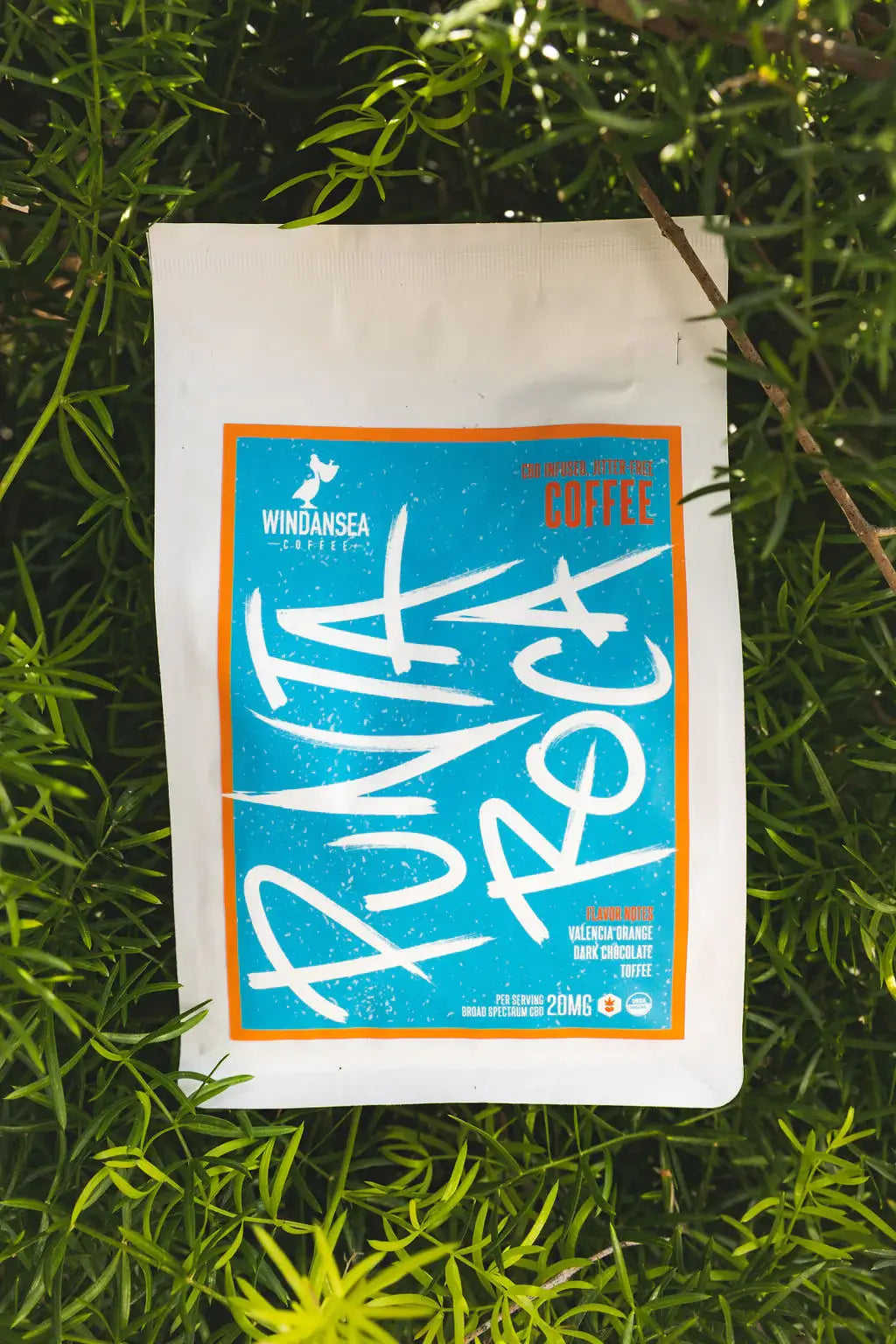 Punta Roca | Coffee - Light Roast - WindanSea Coffee